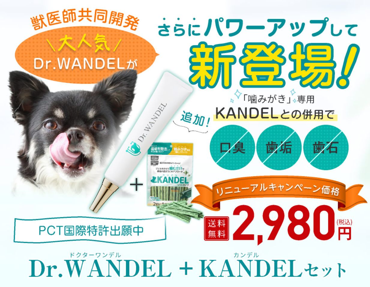 【Dr.WANDEL／ドクターワンデル】獣医師監修のペット用歯周ケアジェル – 人気ショップ